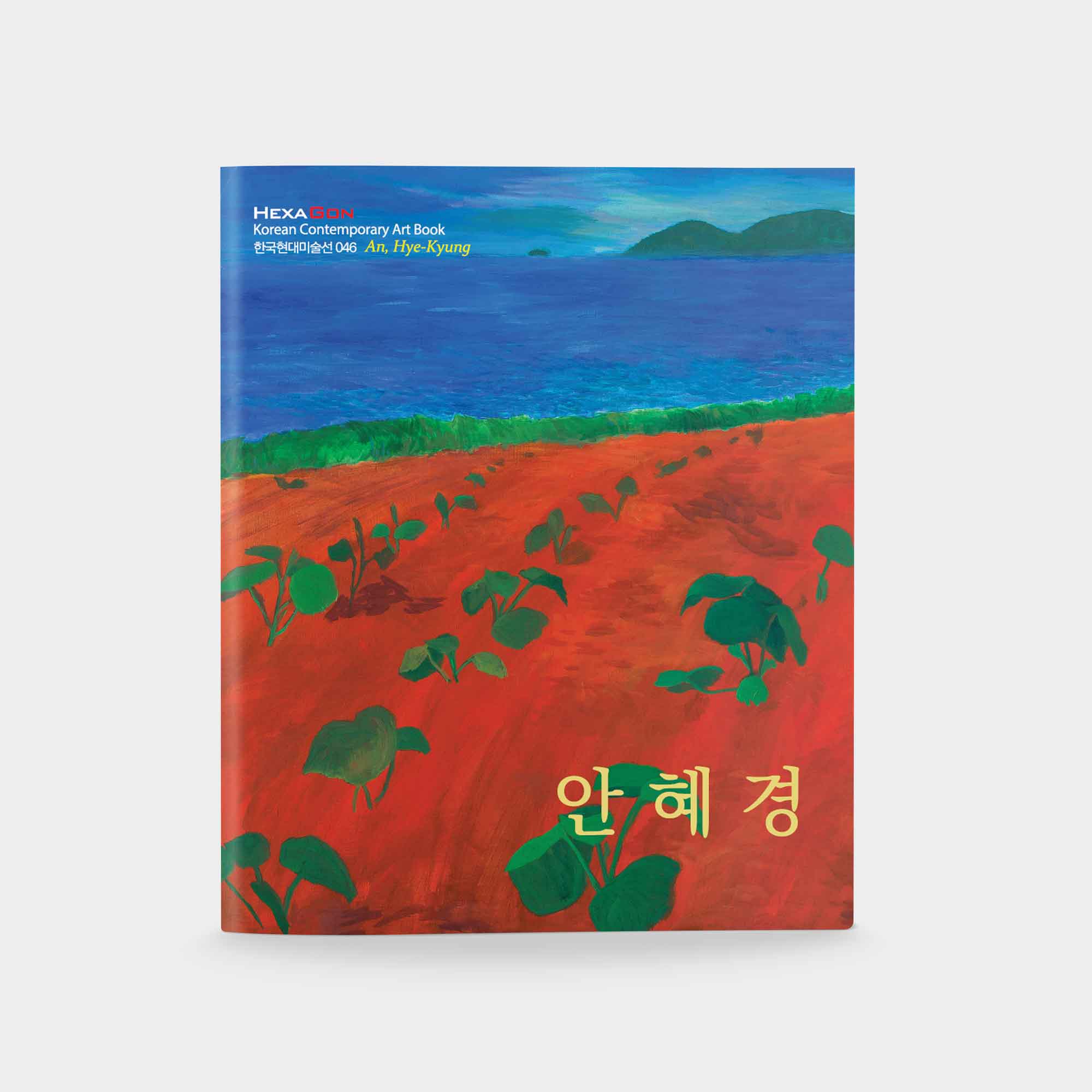 헥사곤 출판사 한국현대미술선 46 안혜경 책 상품 이미지
