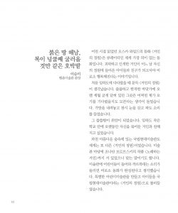 헥사곤 출판사 한국현대미술선 046 안혜경 / 도서 미리보기