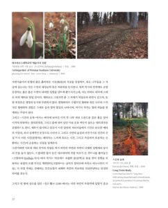 김주연 미리보기