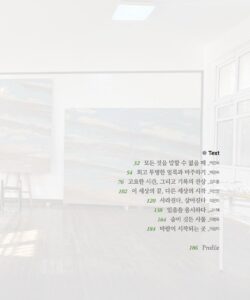 이은미 미리보기