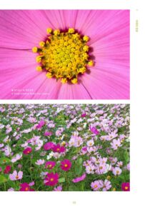 산이, 정원이 됩니다 미리보기